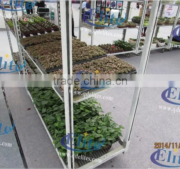 334 Glasshouse Trolley photo-4