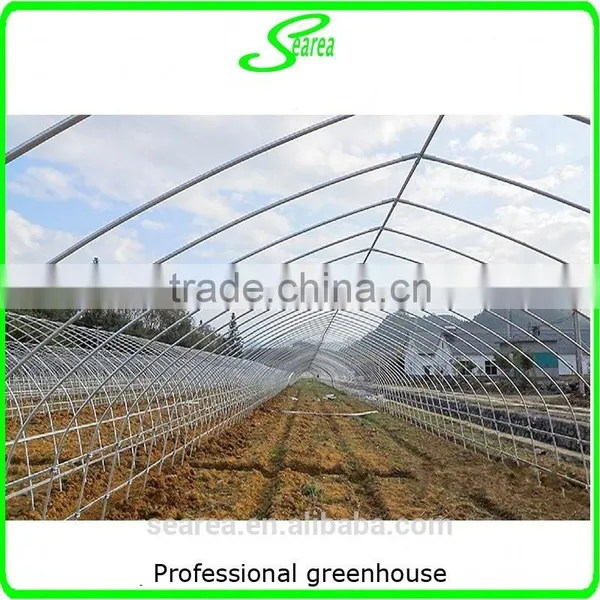 Durable Galvanized Steel Frame Greenhouse Agricultural Greenhouse photo-4