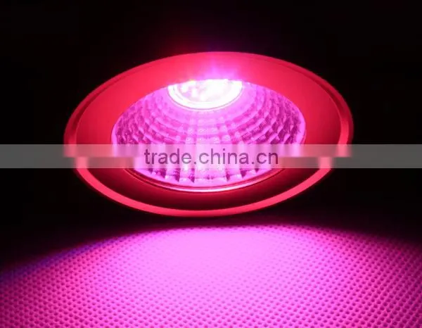 New Model 12W Spot COB Led Grow Light for Small Pot Plant Growing photo-4