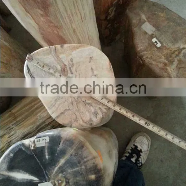 Petrified /fossilized Wood,Luxary Nature Decorative Stone,high Value for Collection photo-3