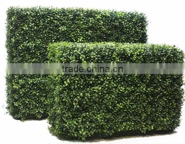 SJ0411013 Garden Decoration Artificial Plastic Milan Boxwood Hedge photo-4
