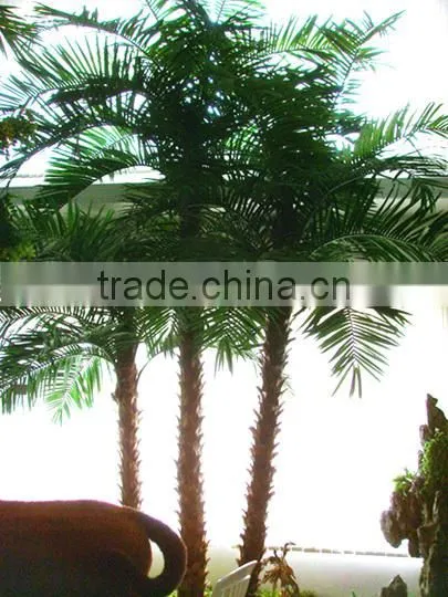 Hot Sale Artificial Date Palm Tree Fiberglass Palm Tree Sale Fake Tree photo-3