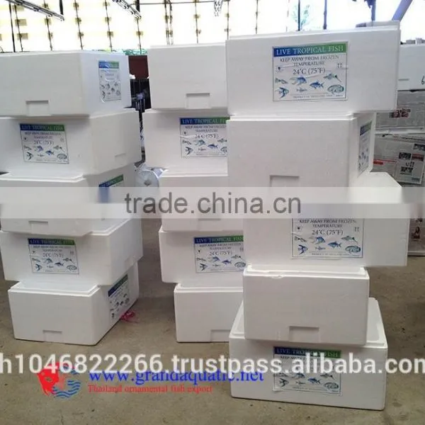 Ornamental Fish Breeder photo-5