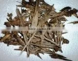 Indian Oud Origin Indian Pure High Quality Agarwood Essential Oil photo-3