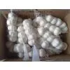China White Garlic 5.0cm photo-3