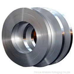 Galvanized Steel Strap /Straping From Factory