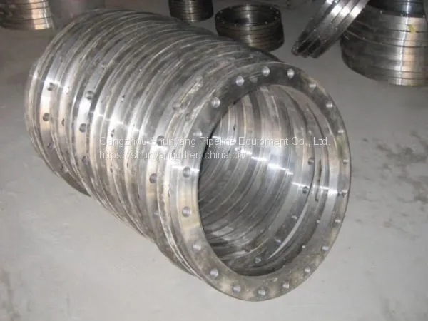 Butt-welded Ring-plate Loose Sleeve Flange photo-5