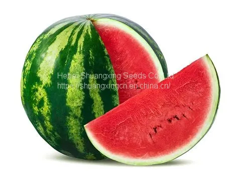 Red Flesh f1 Hybrid Watermelon Seeds