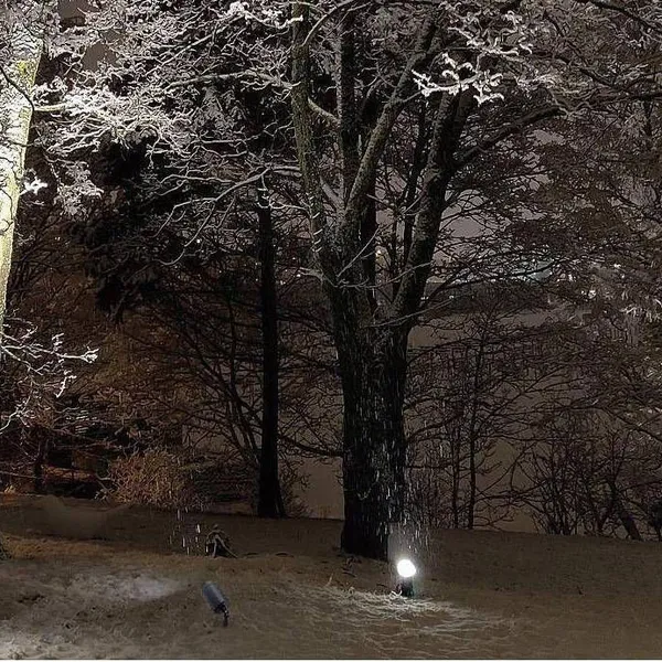 Outdoor Spotlight for Villa Courtyard Landscape Tree Lighting, Garden Ground-inserted Lawn Lamp, 10w Led Aluminum Ground-inserted Lamp photo-4