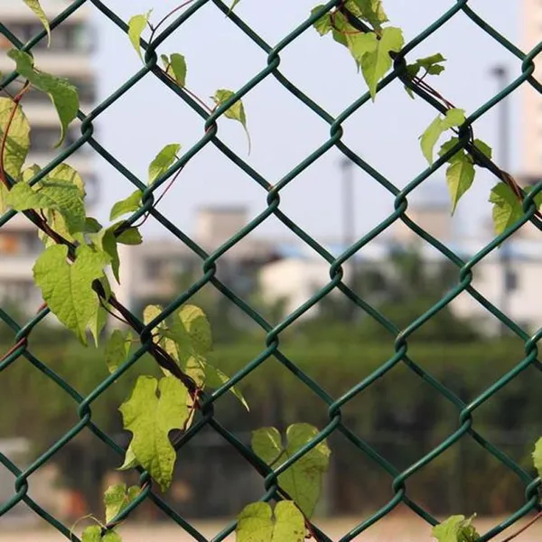 9 Gauge Galvanized Diamond Wire Mesh Fence for Highway and Railway photo-3