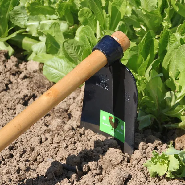 Durable Rail Steel Agricultural Hoe With Sharp Blade for Nigeria Kenya Uganda Farm Tool Buyers photo-2