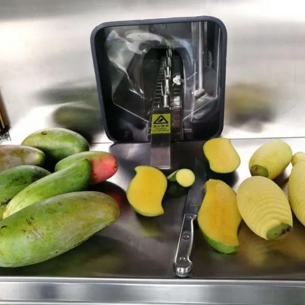 Pulping Machine for Mango Juice Production Line photo-4