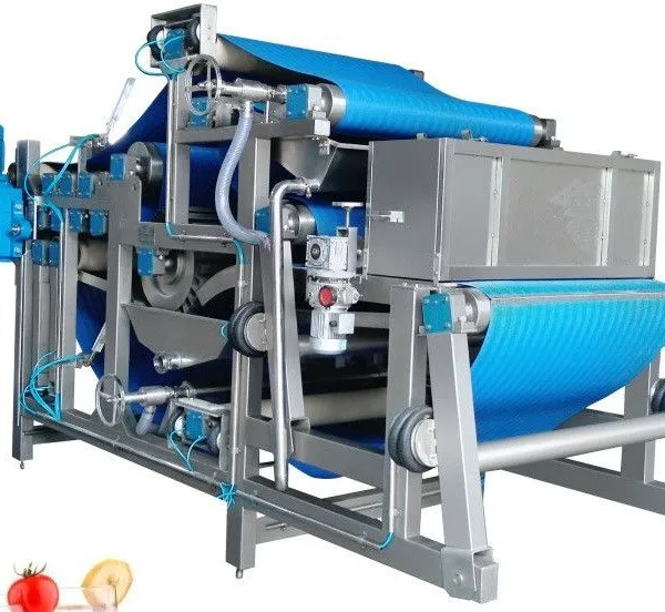Fruit Juicer Production Line/apple Juice Machine photo-5