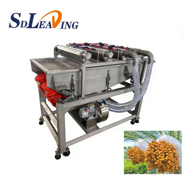 Large Scale Industrial Palm Dates Processing Machine Date Dryer Dehydrator Dates Drying Machine Dates Processing Plant Cost photo-3