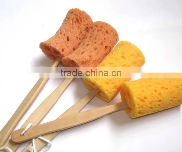 Bath Sponge Brush