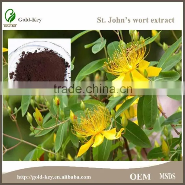 St.John's Wort Extract Powder in Herb Plant Extract photo-5