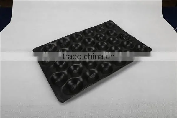 PS Plastic Fruit Tray photo-2