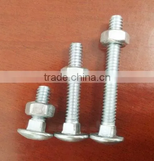 Self-drilling Screws and Carriage Bolt photo-2