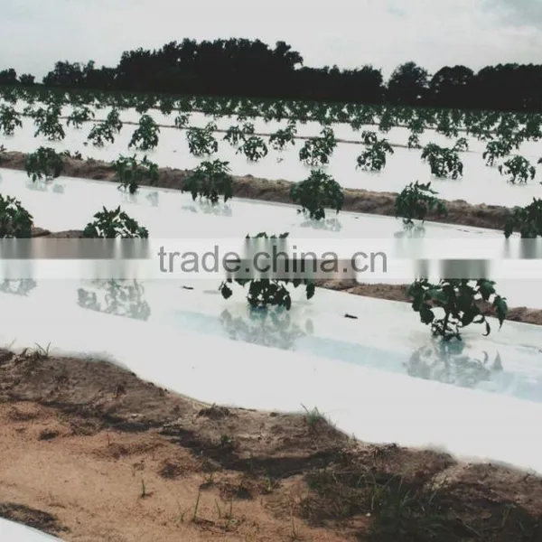 LDPE Reflective Foil, China Manufacture photo-4