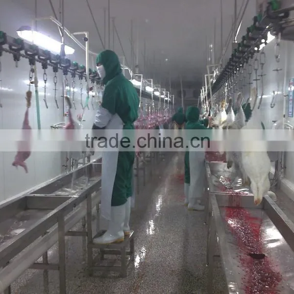 Rabbit Processing Slaughterhouse photo-6