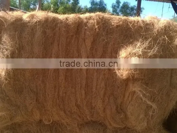 Coconut Fiber High Quality _ QQ : 2290755420 photo-5