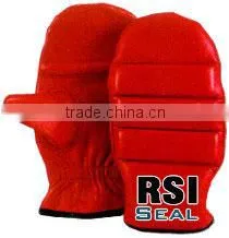 Boxing Mitt