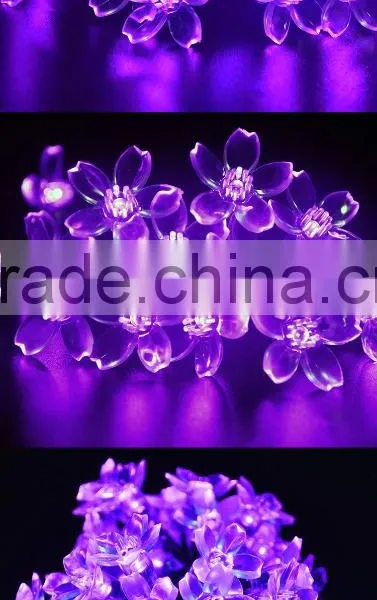 The Colourful Peach Blossom of Solar Christmas Lights photo-5