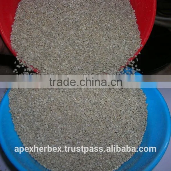Quinoa Grain / Chenopodium Quinoa / Quinoa Grain /Quinoa Bulk Grain photo-4
