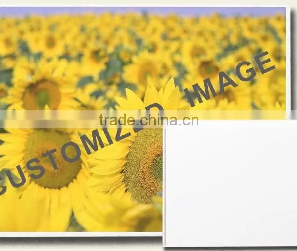Infrared Carbon Crystal Heater/Far Infrared Carbon photo-2
