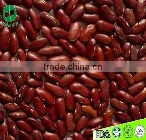 Chinese Dark Red Kidney Beans photo-2