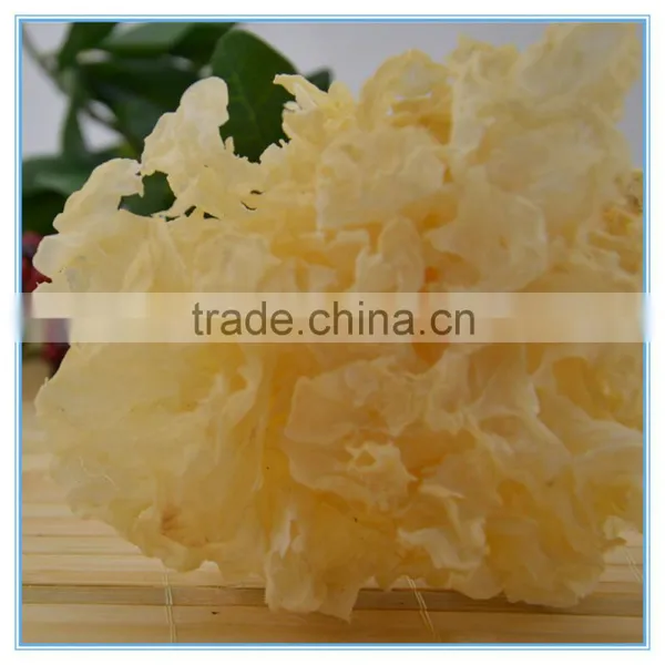 White Wood Ear Mushroom Wholesale