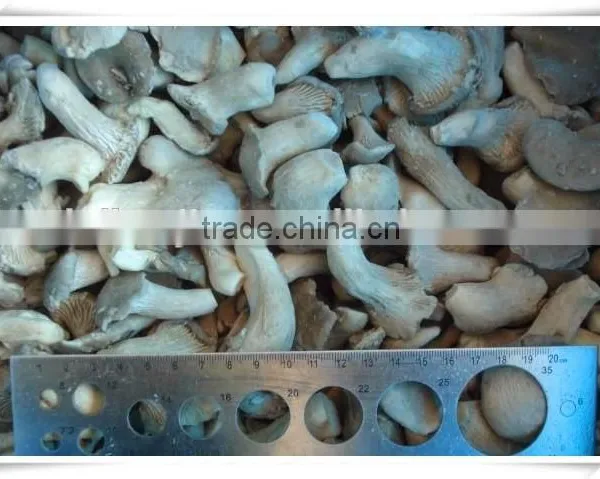 Health Product/nourishment Food /china Food Mushroom photo-2