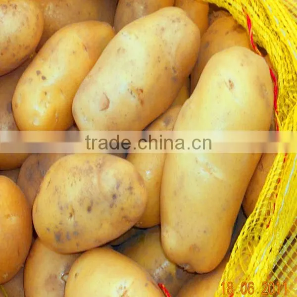 Fresh Potato Exporter