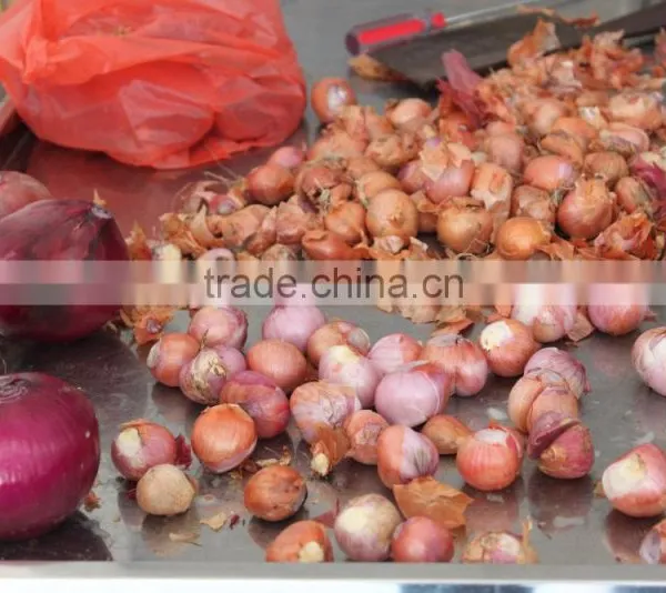 Stainless Steel Automatic Garlic Potato Peanut Pepper Grinding Machine photo-5