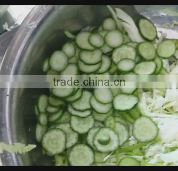 Professional Stainless Steel Multi-functional Leek Cucumber Potato Slicing Cutting Cutter Machine photo-6