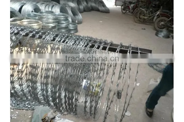 (high Quality)Galvinized Razor Barbed Wire(factory) photo-3
