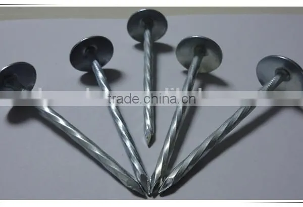 Large Head Roofing Nail China Nail Factory Price From China photo-2