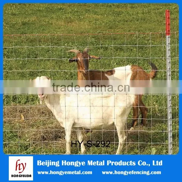 Made in China Cattle Fence/wrought Iron Metal Sty (AnPing Wire Mesh Base) photo-2