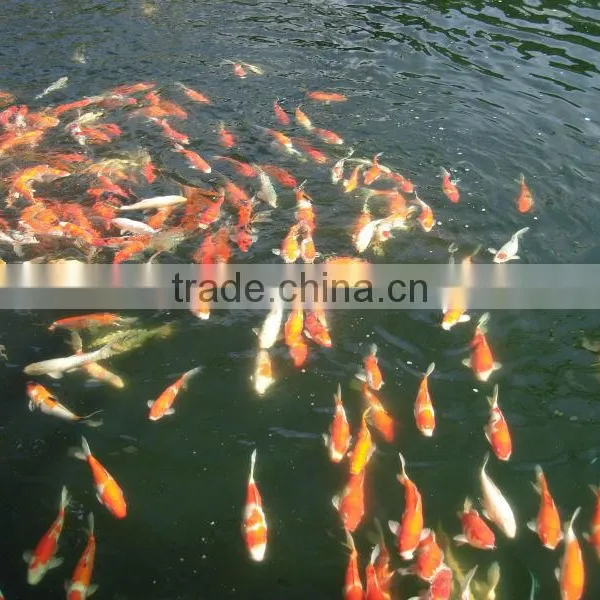 Durable and Enviromental Biological Filter for Koi Pond and Aquarium,fish Farming Filter Mat photo-6
