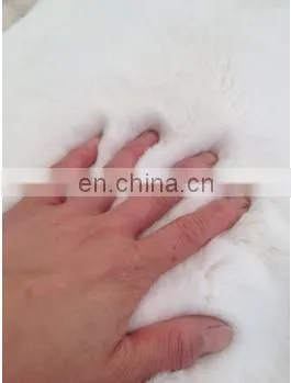 Cheap Price Rabbit Fur Skin / Rabbit Fur Skin/fur Skin photo-2