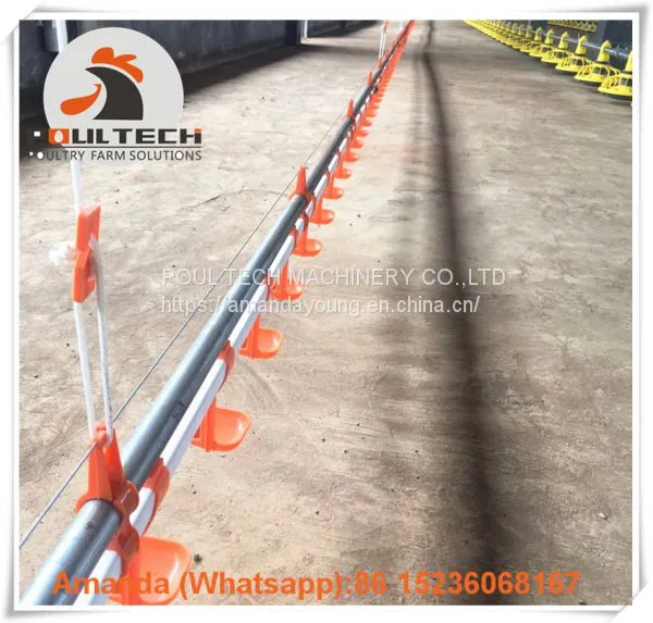 Salvador Poultry Farming Equipment Broiler Floor Raising System & Chicken Deep Litter System With Automatic Drinking& Feeding System in Chicken Coop photo-2