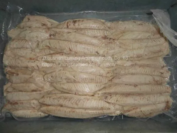 Frozen Pecooked Skipjack Tuna Loin Katsuwonus Pelamis photo-4