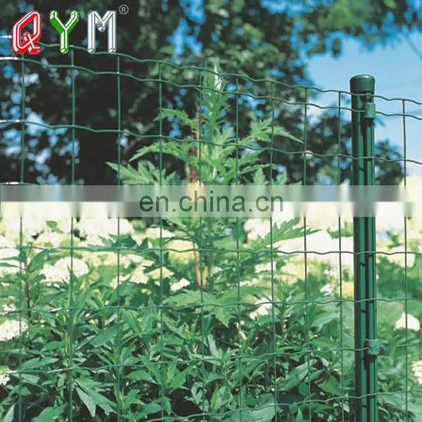 Welded Holland Wire Mesh Euro Fence For Farm photo-5