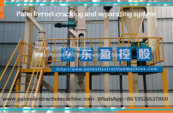 Complete Set 2-10tph Palm Nut Processing Cracking and Separating Machinery photo-3