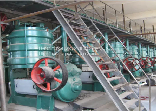 Cooking Oil Refinery Machine Peanut, Soybean, Rapeseed, Sesame, Sunflower Seeds Vegetable Oil Production Line Machinery photo-5