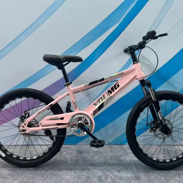 Mountain Bike photo-4