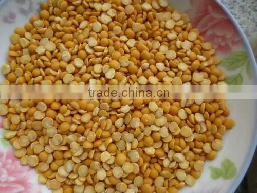Hot Sale Garden Beans Peeling Machine/garden Bean Skin Remove Machine With Lower Price photo-5