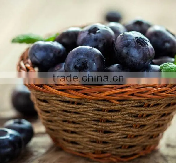 Blueberry/Mushroom/Agaric/Tremella/Date/Potherb Washing and Cleaning Machine photo-6