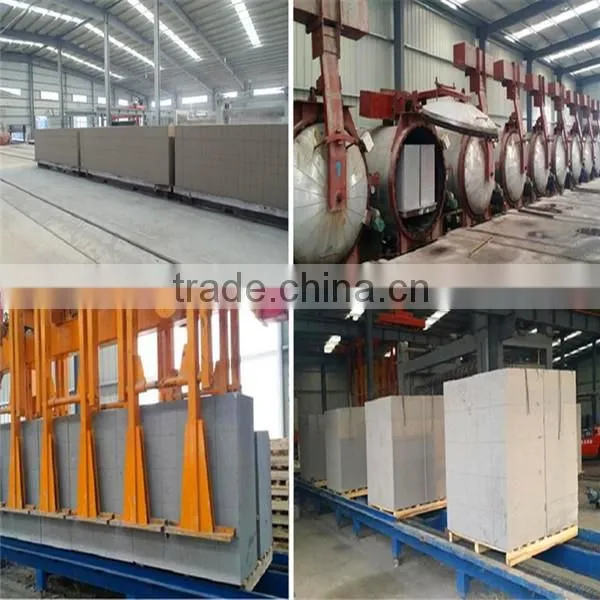 Hot Sale Concrete Block Machine /automatic Fly Ash Bricks Machine in Algeria Market photo-3