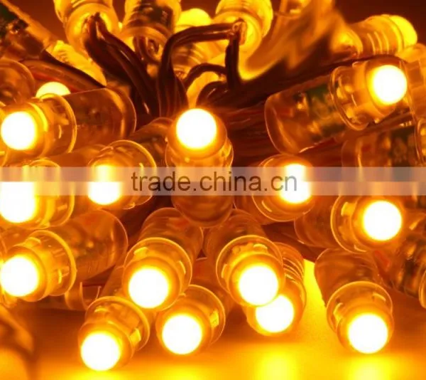 Outdoor RGB Smart Light DC5V 12mm Full Color DMX Led Pixel Light For Sign Letters photo-4